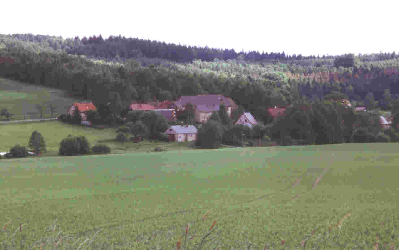 Niederdorf als blühende Landschaft
