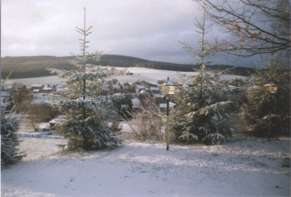 Blick aufs Oberdorf vom Haus Sonnenblick im Winter